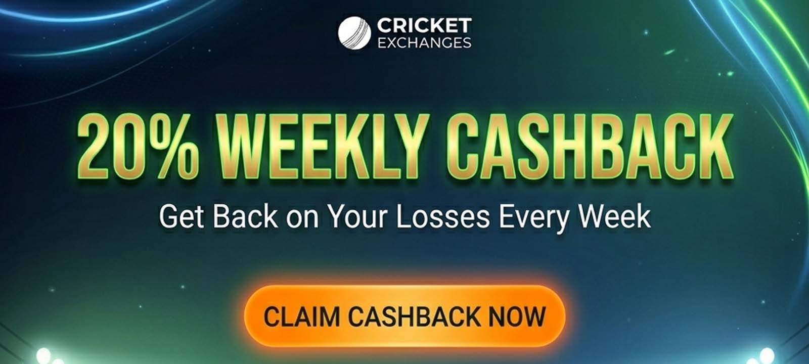 Promotion banner 2